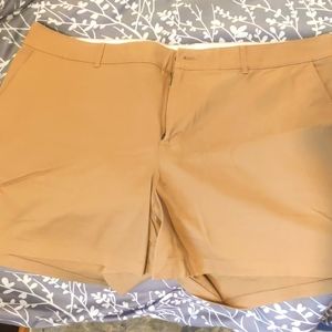 Khaki shorts
